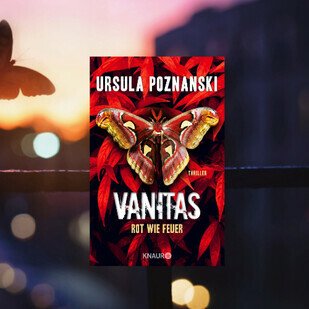 Vanitas - Das fesselnde Finale der Vanitas-Trilogie