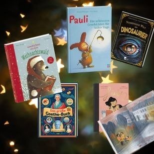 Weihnachten zu Hause - Kinderb&uuml;cher