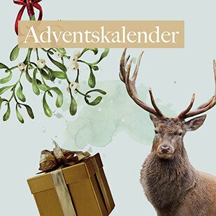 Vorfreude auf Weihnachten! - Adventskalender