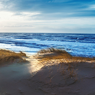 Unsere Buchempfehlungen - Am Meer