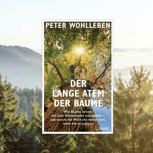 Juli 2021 - Peter Wohllebens neues Buch