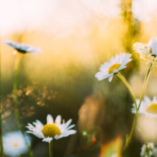 Januar 2022 - Der Fr&uuml;hling kommt gewiss!