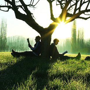 Unsere Empfehlungen - Wunderbare Fr&uuml;hlingslekt&uuml;re